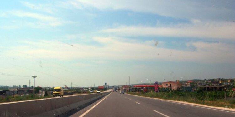 Karrotreci përplas për vdekje endacakun në rrugën Rrogozhinë-Lushnjë