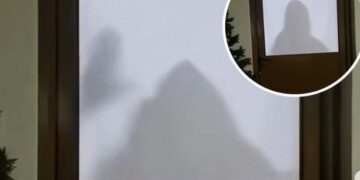 29-vjeçarja dhunoi vajzën e mitur dhe përdori fjalë të pista, reagon Policia e Vlorës pas publikimit të videos