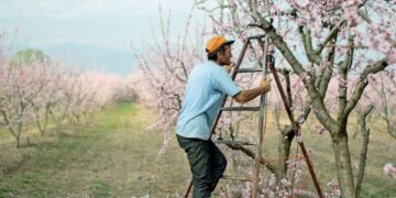 Fermerët grekë të “uritur” për punëtorë shqiptarë: Po na kalbet prodhimi