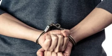 Dy vëllezërit ‘kriminelë’ që shfrytëzuan motrën e tyre