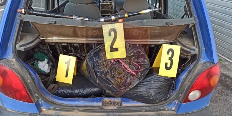 Tentuan të trafikonin thasë me kanabis në Mal të Zi, dy të arrestuar në Lezhë