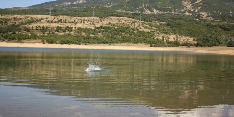 Ishte humbur, gjendet i mbytur në liqen 13-vjeçari në Dibër