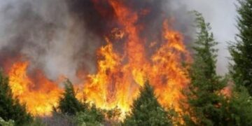 Vlora përfshihet nga flakët, dalin detajet e para