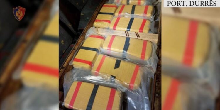 13 kg kokainë në autobusin e linjës Durrës-Milano, pronari dhe shoferi mohojnë të kenë lidhje me drogën