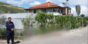 ‘S’më bëri drekën’, zbardhet dëshmia e 58 vjeçarit që vrau kunatën me sëpatë në Elbasan