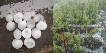 Shi i dendur e breshër në Korçë, dëme të mëdha në të mbjella