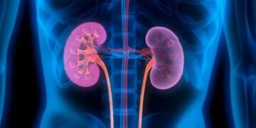 Lajm i mirë! Transplanti i veshkës, së shpejti do të kryhen edhe në spitalet publike