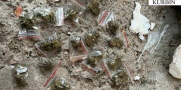 Përshtatën lokalin për lojëra kompjuterike dhe shisnin kanabis, arrestohen pronari dhe kamerieri në Kurbin