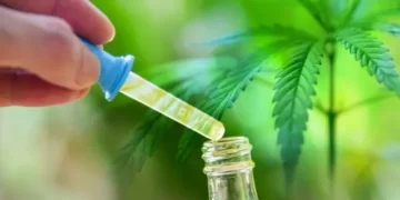 Legalizimi i kanabisit, Muçi: Biznes i dështuar, formë për të eksportuar ilegalisht