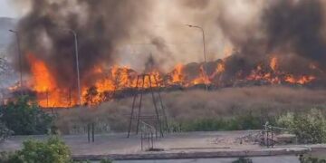 Tymi mbulon Vlorën, zjarrfikësit “në luftë” me flakët edhe sot