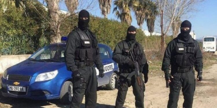 FNSH dhe Policia “blindojnë” Fushë-Krujën, kontrolle në të gjithë territorin