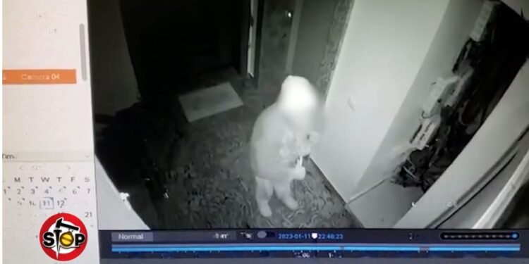 “Të vraftë Zoti o plehrë” Gruaja e sëmurë terrorizon pallatin, çfarë u bën gjatë natës banorëve (VIDEO)