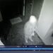 “Të vraftë Zoti o plehrë” Gruaja e sëmurë terrorizon pallatin, çfarë u bën gjatë natës banorëve (VIDEO)