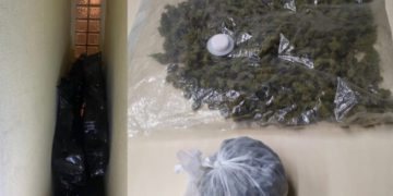 “E tradhtoi” era e kanabisit, arrestohet 32-vjeçari shqiptar në Gjermani, e kishte kthyer banesën në “fermë”