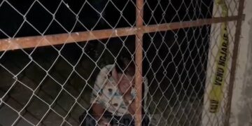 Ishin në prag divorci, trupi i 46 vjeçares u gjet nga nëna e saj, trajneri i djalit të viktimës: Ishte problematik