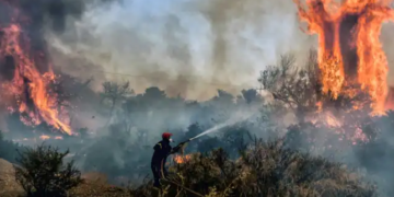 Temperatura të larta e zjarre, Greqia luftë me flakët, digjen dhjetëra shtëpi në perëndim të Athinës, evakuohen banorët