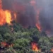 Zjarri në Fier, Çako: Djegie masive e pyjeve, por situata është nën kontroll
