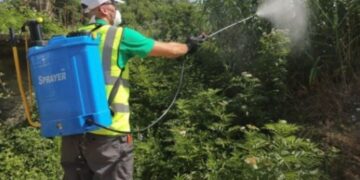 Mushkonjat “hanë” turistët e pushuesit, tenderi bllokohet nga ankesat prej muajsh