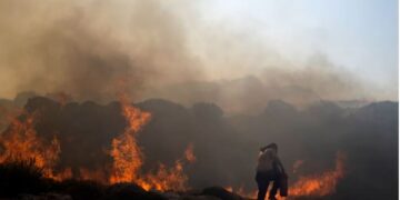 Zjarret në Greqi vrasin një bari, rrezikohen zonat përreth Athinës