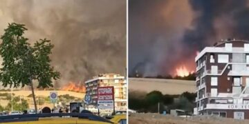 Pas Greqisë, edhe Turqia ‘pushtohet’ nga flakët, reagon menjëherë Erdogan