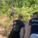 Policia mësyn në qarkun e Shkodrës, asgjësohen mbi 15 mijë bimë kanabisi
