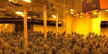 Kapet brenda “shtëpisë së barit”, arrestohet shqiptari në Britani