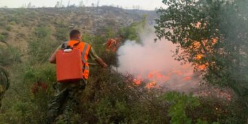 Balla: Zjarrvënia vepër e rëndë penale dhe dënohet deri në 15 vite heqje lirie