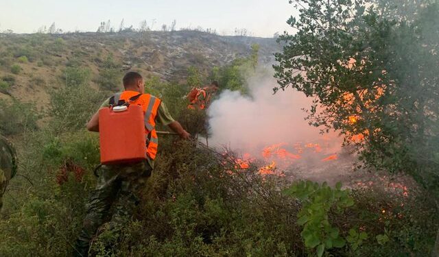 Balla: Zjarrvënia vepër e rëndë penale dhe dënohet deri në 15 vite heqje lirie