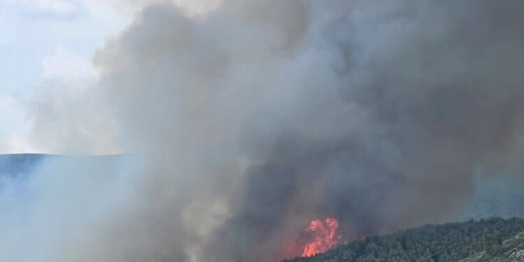 Zjarr i madh në Laç, nuk dihet ende shkaku