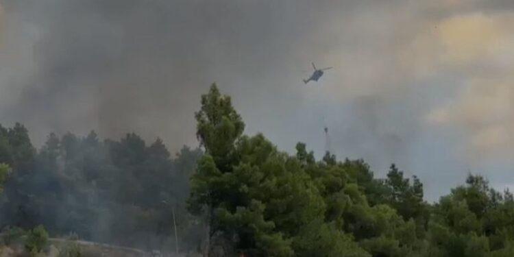Banesat në rrezik nga flakët, identifikohet autori që i vuri zjarrin pyllit në Laç