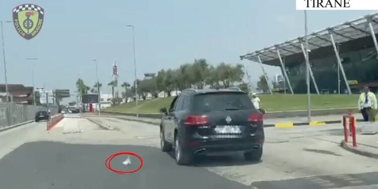 Kjo qese në rruge i kushtoi shumë shtrenjtë shoferit në Tiranë
