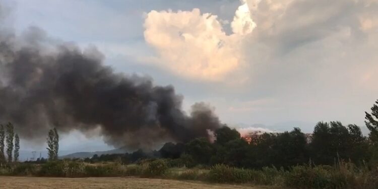 Përfshihet nga flakët fusha e grumbullimit të plehrave pranë inceneratorit të Elbasanit