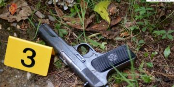 I riu në Dibër zihet me kushërinjtë e pronarit që do i merrte lokalin me qira, qëllon në ajër me armë