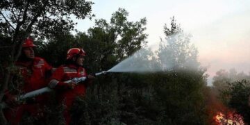 Zjarr i madh në një fshat në Belsh, banorët i bashkohen zjarrfikësve për të shuar flakët
