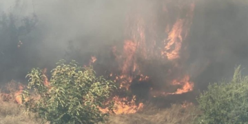 Zjarr në Dropull, përfshihen nga flakët kullotat në fshatin Likomil