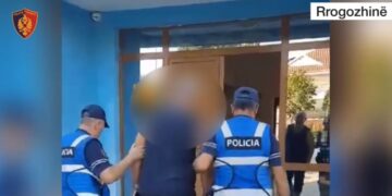 Ndezi zjarr për të djegur mbeturina, por dogji sipërfaqe toke, arrestohet një person në Rrogozhinë