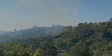 Zjarr në Bubq të Krujës, flakët e favorizuara nga era djegin 4 ha ullishte e pyje