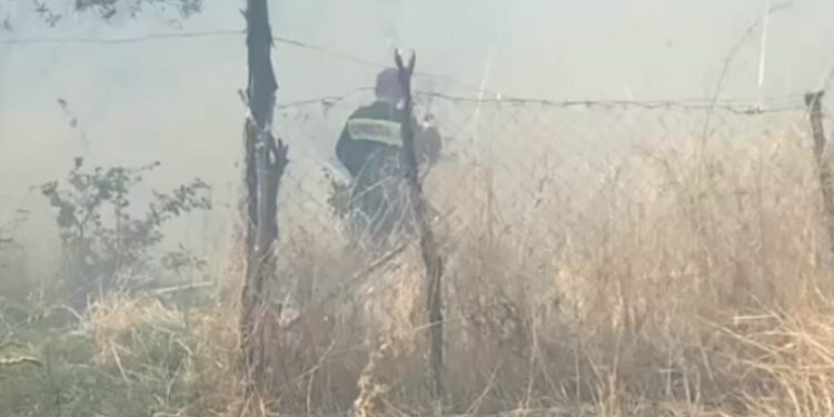 I vuri zjarrin tokës dhe dogji 3 shtëpi, arrestohet 36-vjeçari