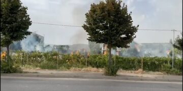 Zjarr në hyrje të Lezhës, flakët rrezikojnë një fabrikë këpucësh