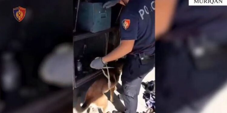 Kishin mbushur çantat me mbi 82 mijë euro të padeklaruara, arrestohen dy persona në Muriqan