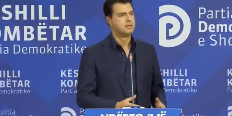 Mbledhja e Këshillit Kombëtar, Basha: Brenda vitit do kemi një strukturë të ripërtërirë, për t’u kthyer alternativë