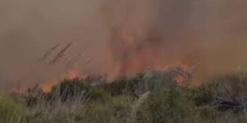 Prej 7 ditësh zjarrfikësit në luftë me flakët në Pishporo, pritet ndërhyrja nga ajri