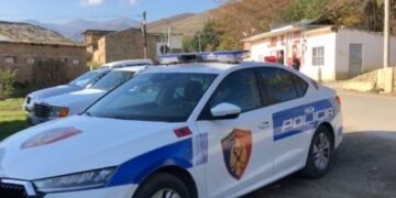 Sherr mes dy grave në Prrenjas, goditet me sende të forta 38-vjeçarja