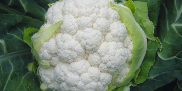 Ushqimet më të mira që duhet të konsumoni gjatë vjeshtës