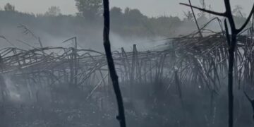 Kishin planifikuar vrasjen e një të riu në Budva, arrestohet 25-vjeçari shqiptar, pjesë e grupit kriminal