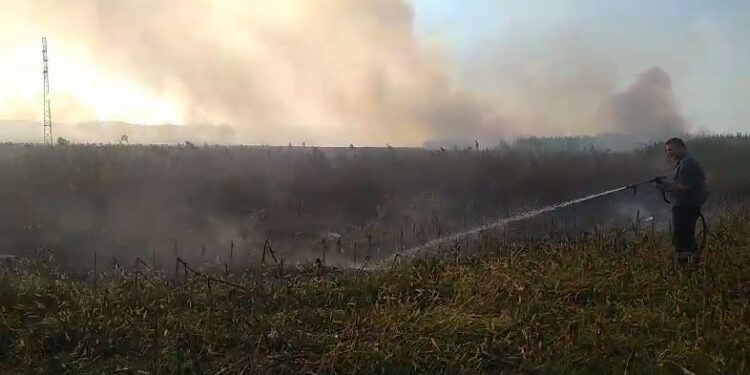Përfshihet nga flakët një sipërfaqe toke në Krujë, zjarrfikësit ndërhyjnë për të shuar zjarrin