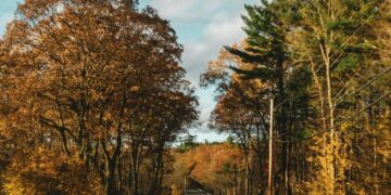 Anticikloni Afrikan vjen në Shqipëri, java me temperatura deri në 31°C