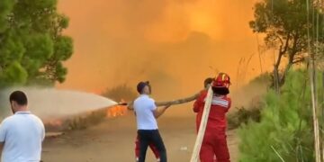 Prej 8 ditësh pyjet e Pishporos në Fier nën “pushtimin” e flakëve, avioni grek dhe dhjetëra zjarrfikës në “luftë” me zjarrin