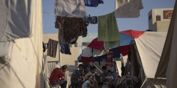 Lija e dhenve, zgjebja dhe sëmundjet infektive “pushtojnë” Gazën