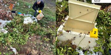 Dy të mitur vjedhin kasafortën me para në Xhaminë e Burrelit